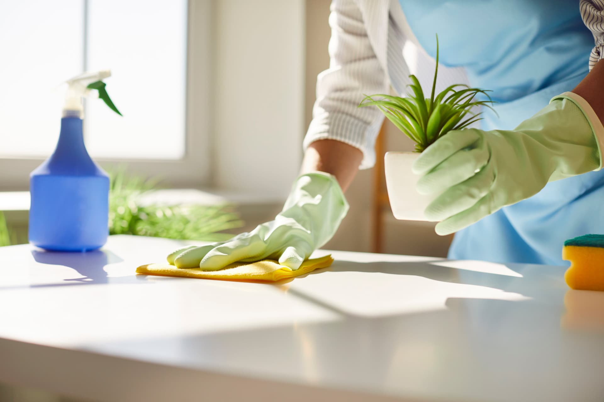 Refresh Your Property with Bond Cleaning from Bond Cleaners