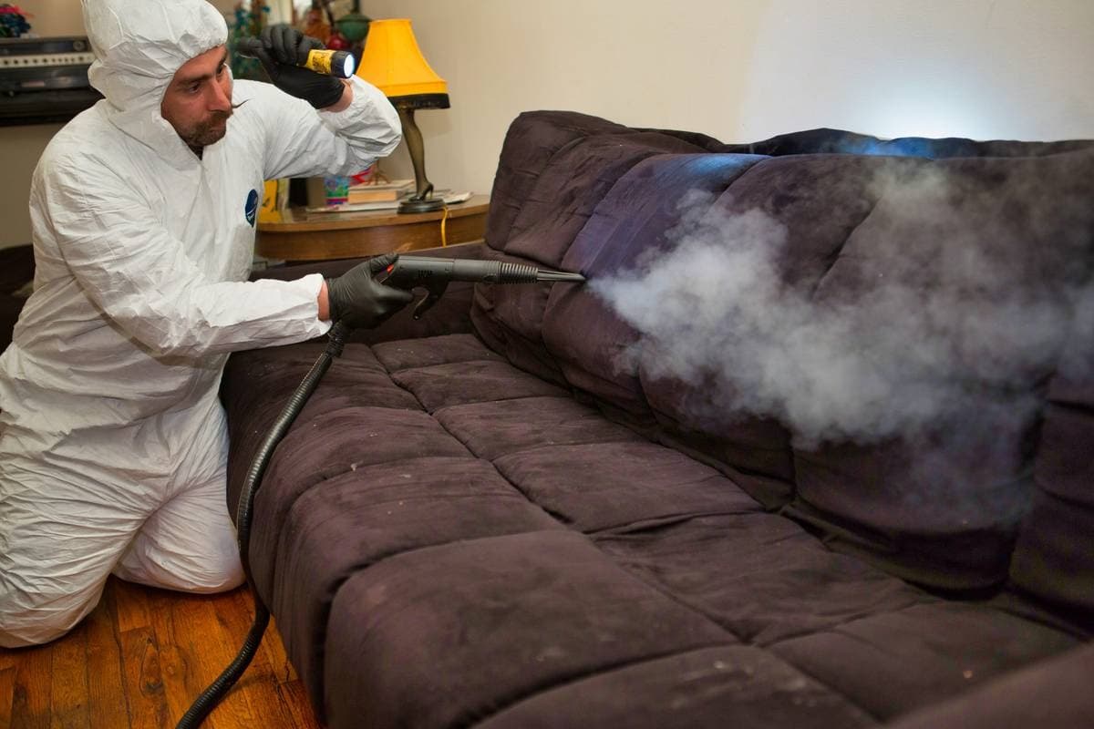 Bed Bug Removal Experts You Can Count On