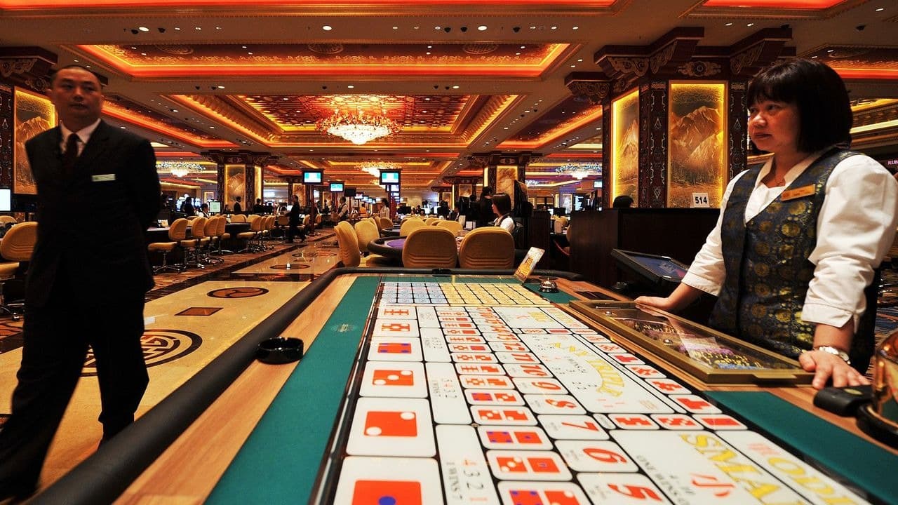 Le casino Vincispin rend vinci spin casino attractif