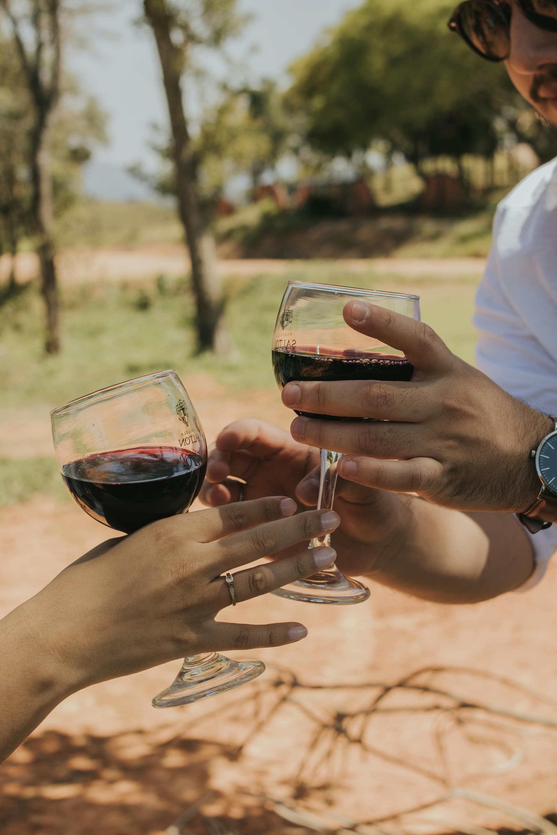 Clarksburg california Known for Scenic Vineyards and Award-Winning Wines