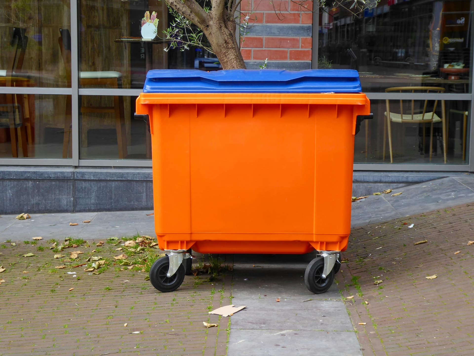 Dumpster Rental In Punta Gorda FL for Home, Roofing, and Job Sites
