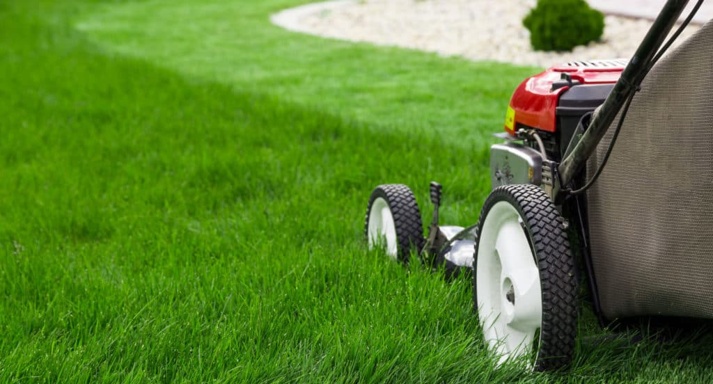 Lawn Care Services to Keep Your Grass Green and Healthy