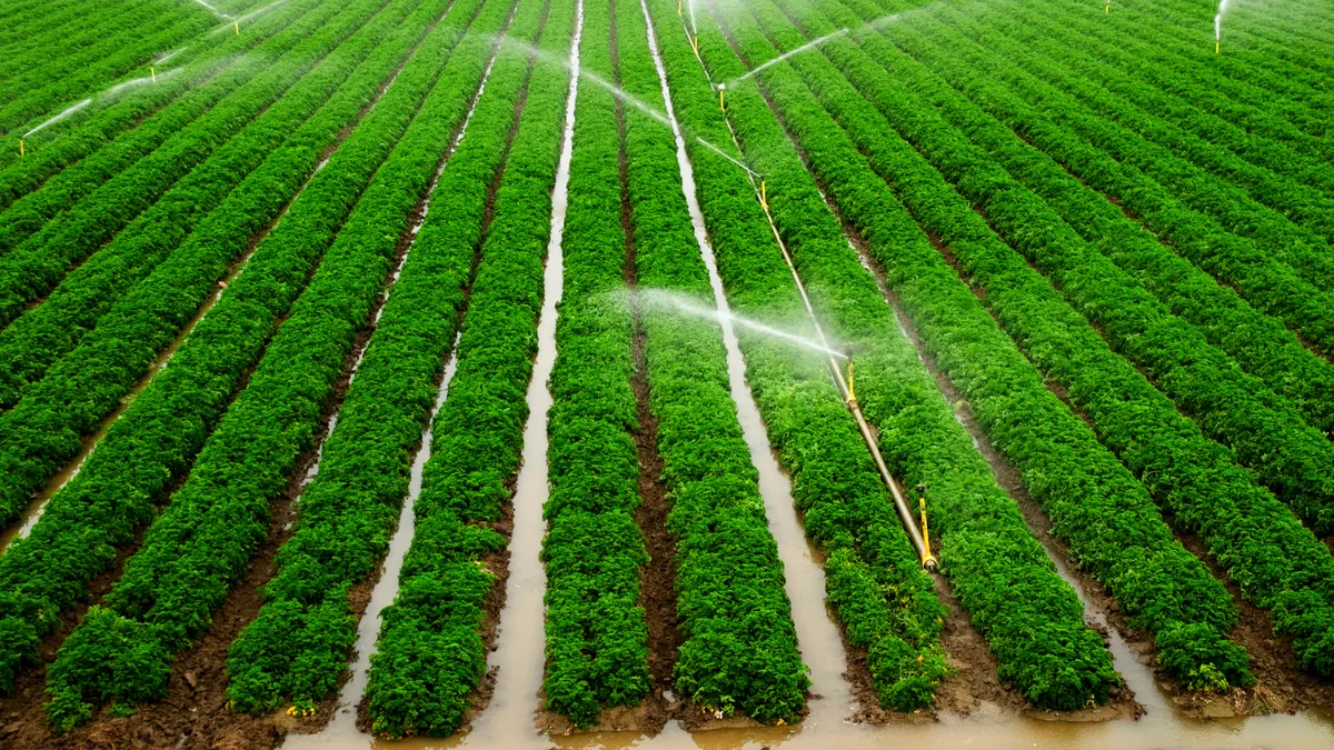 Keep Your Lawn Thriving with Professional Irrigation Services in Springtown, TX